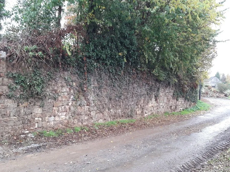 before-image
